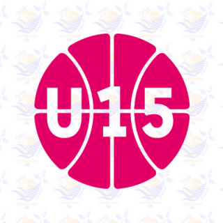 Plateaux qualificatifs U15F D2
