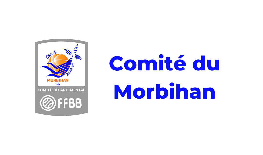 Rapports d'Activités