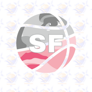 règlement sportif particulier seniors féminins