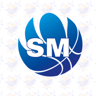 règlement sportif particulier seniors masculins